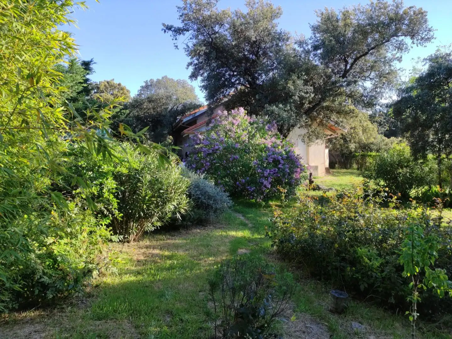Casa o chalet en venta en La Berzosilla Jardín de Casa o chalet en venta en Torrelodones