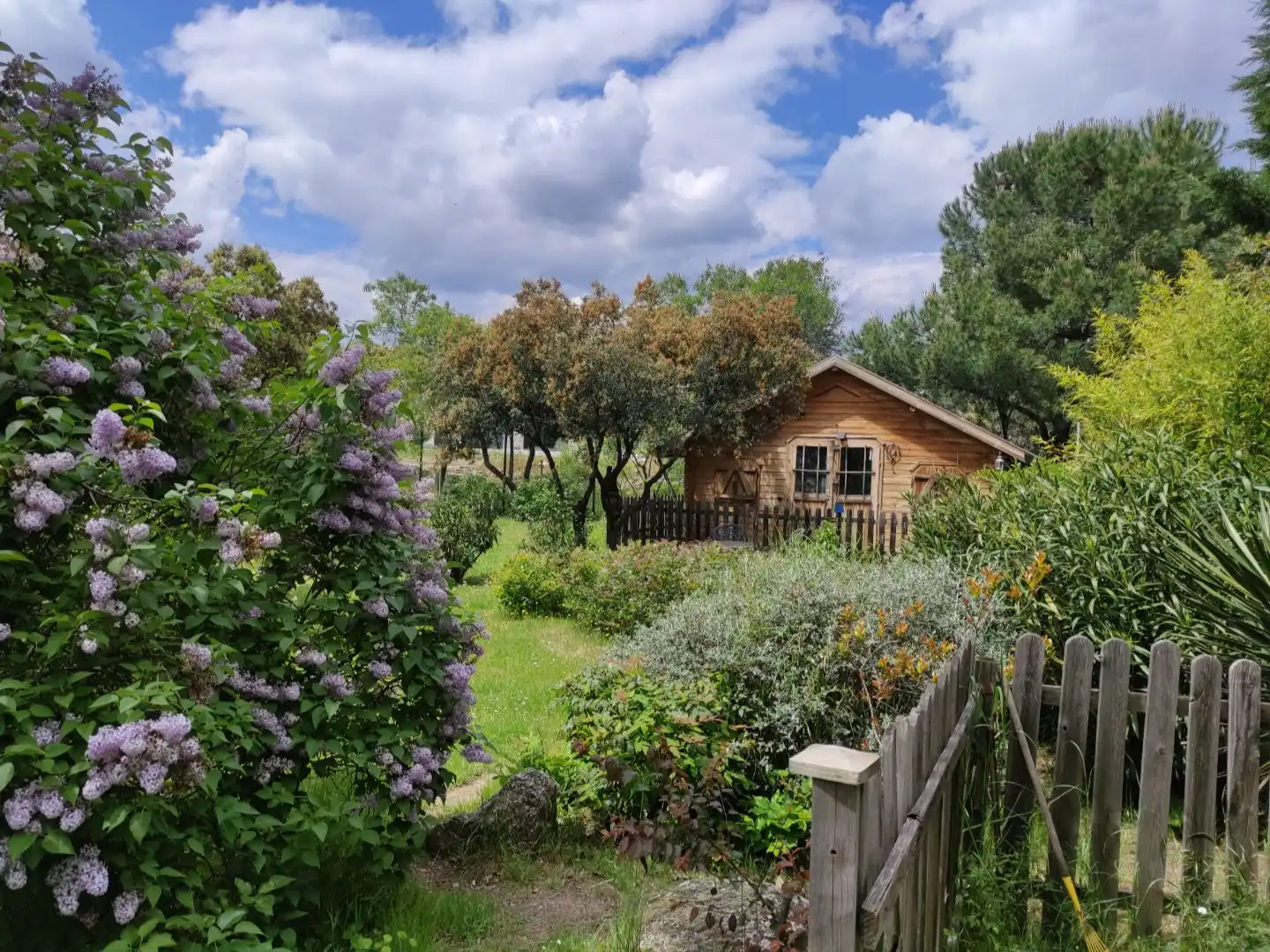 Casa o chalet en venta en La Berzosilla Jardín de Casa o chalet en venta en Torrelodones