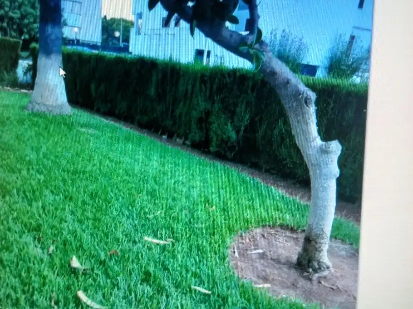 Pis en venda a Paseo Tomillo, 1, Alcossebre Jardí de Pis en venda en Alcalà de Xivert amb Aire condicionat, Calefacció i Terrassa