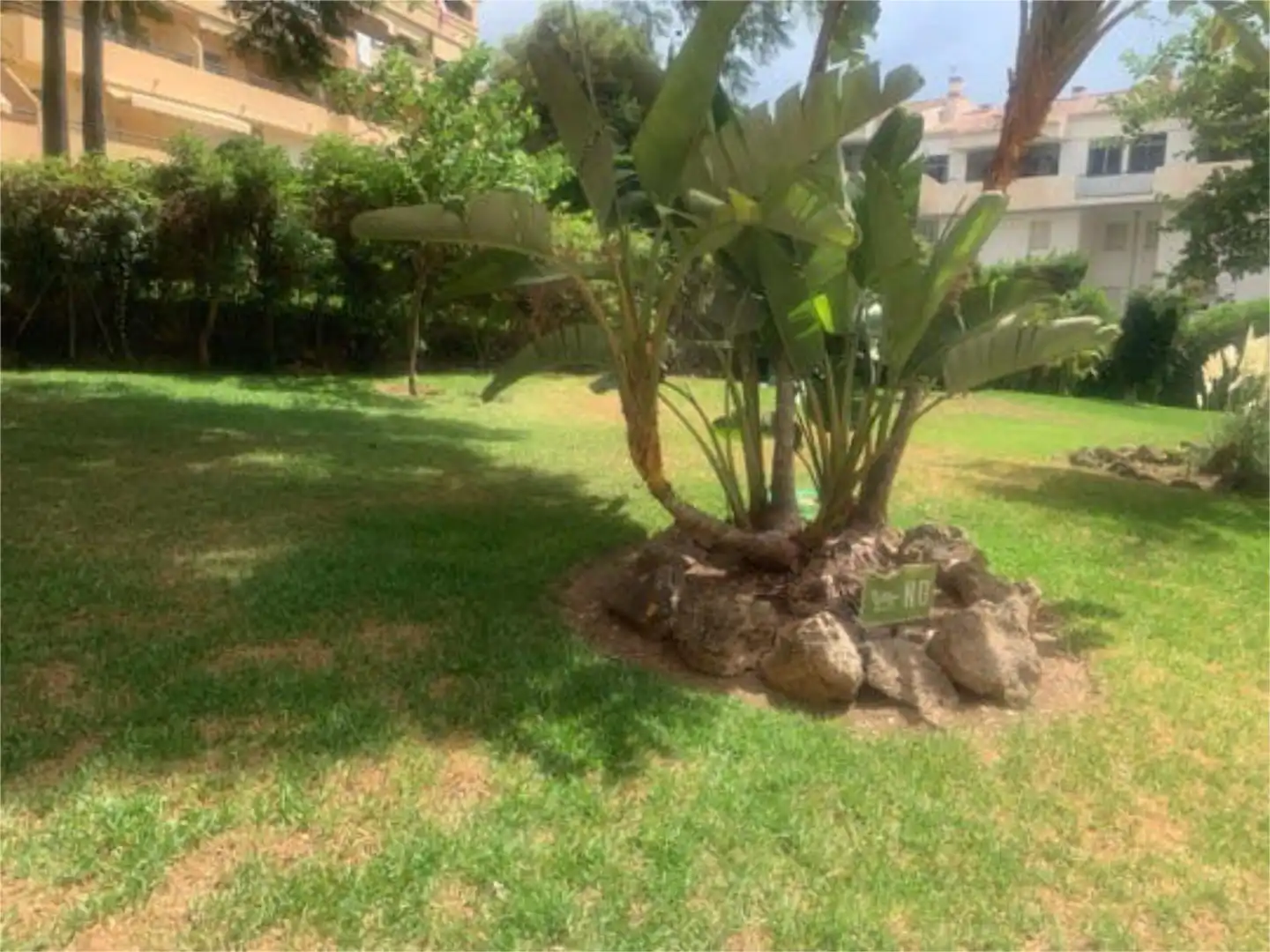 Jardí de Pis de lloguer en Málaga amb Jardí privat