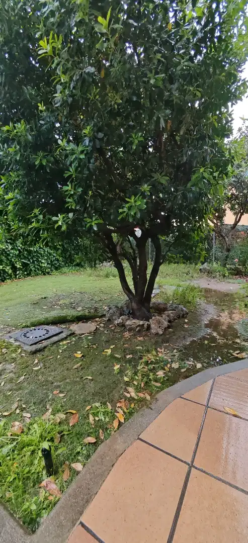 Casa o chalet en venta en Calle Camino de Colmenar, 29, San Agustín del Guadalix pueblo Jardín de Casa o chalet en venta en San Agustín del Guadalix