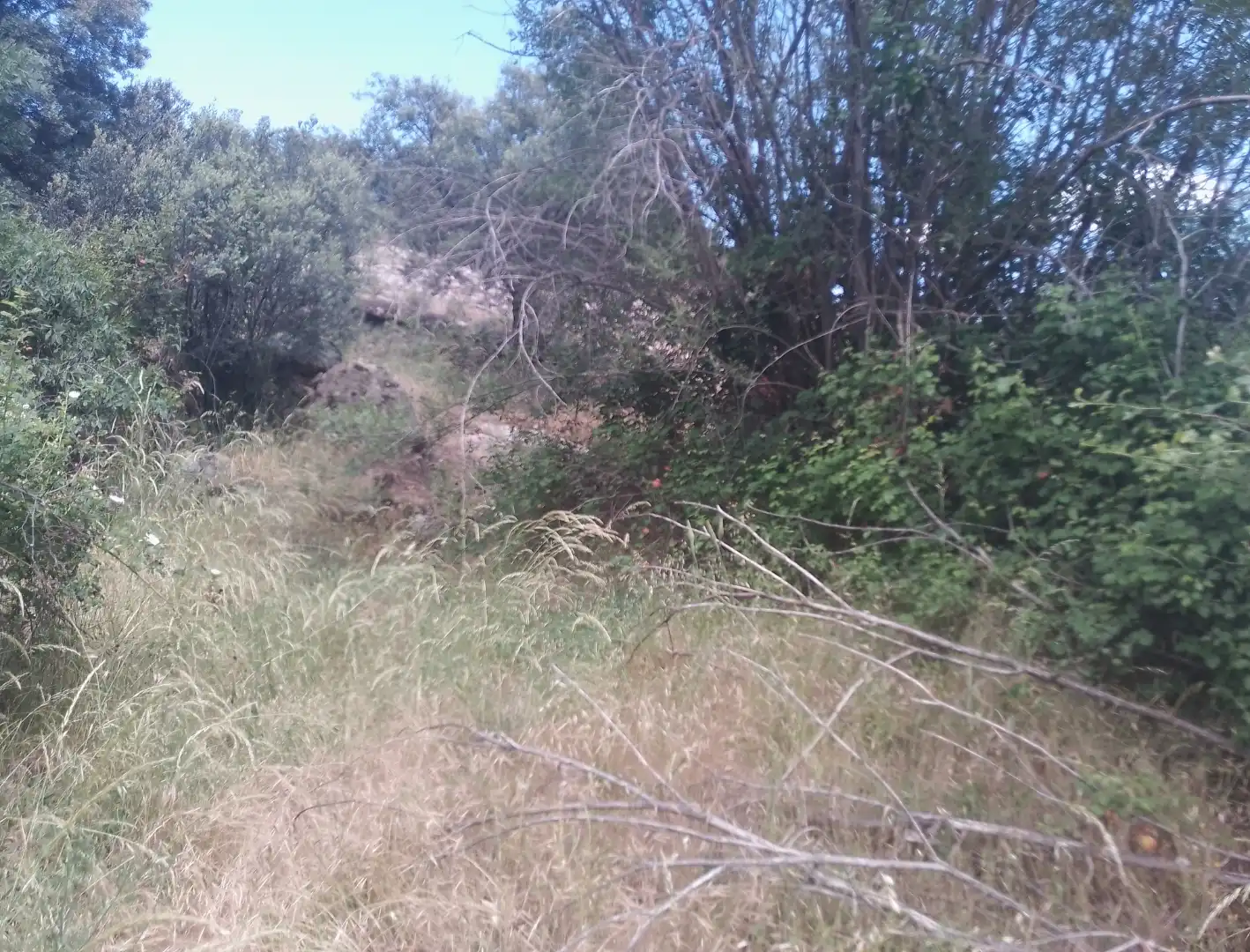 Planta baixa en venda en Burgohondo amb Jardí privat