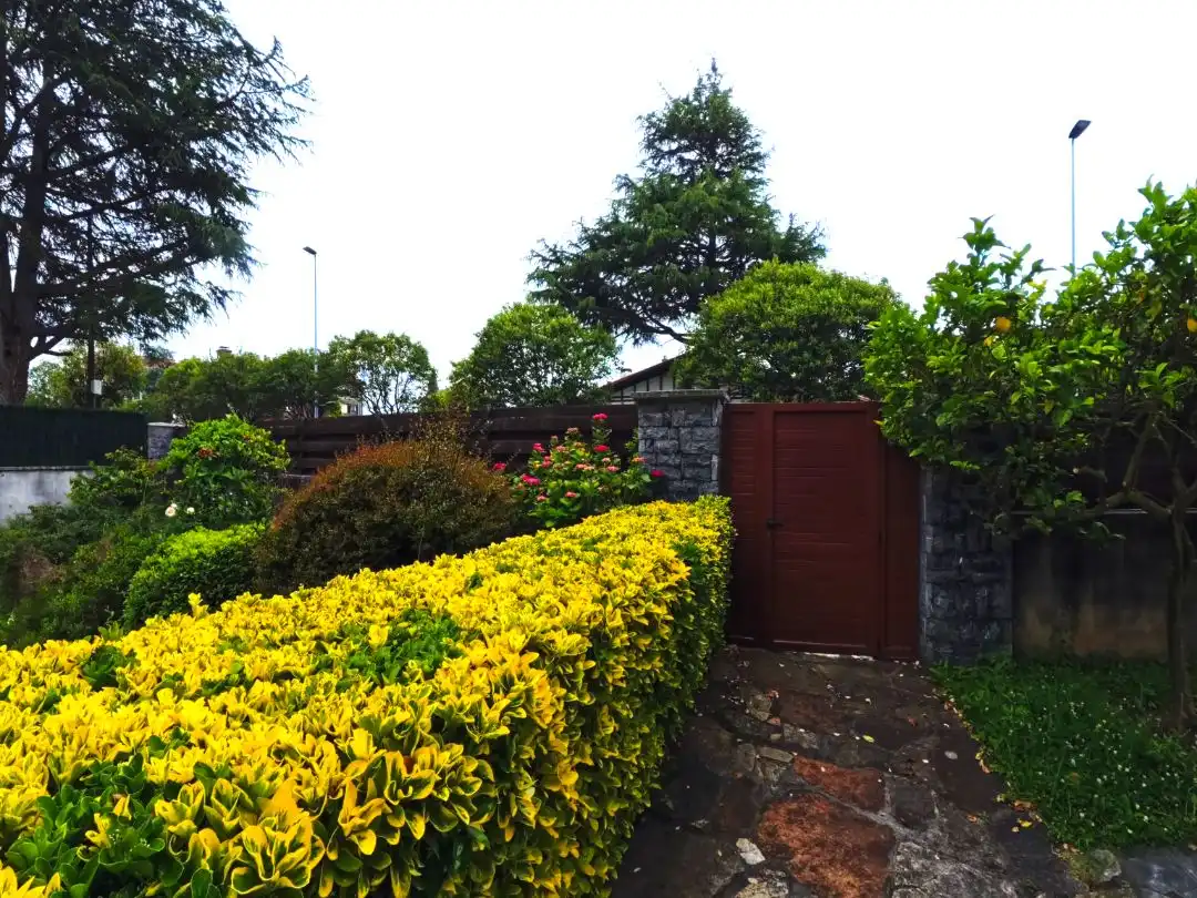 Jardín de Casa o chalet en venta en Leioa con Calefacción, Jardín privado y Parquet