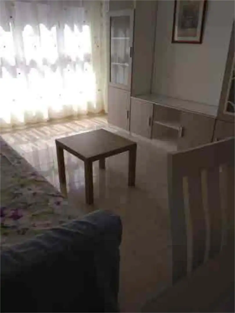 Apartament de lloguer a Mestalla Sala d'estar de Apartament de lloguer en Valencia amb Moblat
