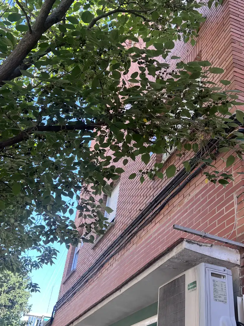 Außenansicht von Wohnung zum Verkauf in  Madrid Capital mit Klimaanlage und Balkon