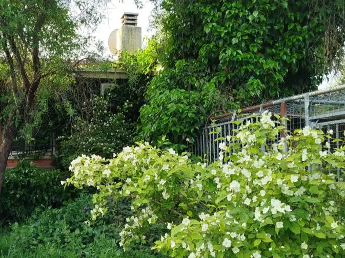 Casa o chalet en venta en Calle Nueve, 17, Fuentidueña de Tajo Jardín de Casa o chalet en venta en Fuentidueña de Tajo con Aire acondicionado
