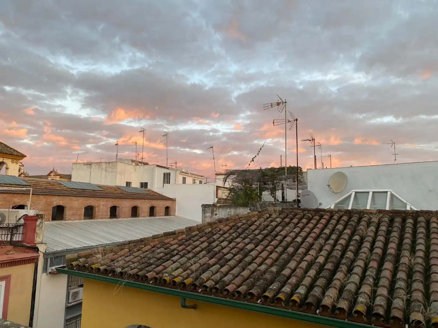 Piso de alquiler en Calle Manuel Font de Anta, 9, San Lorenzo Vista exterior de Piso de alquiler en Sevilla con Aire acondicionado, Calefacción y Terraza
