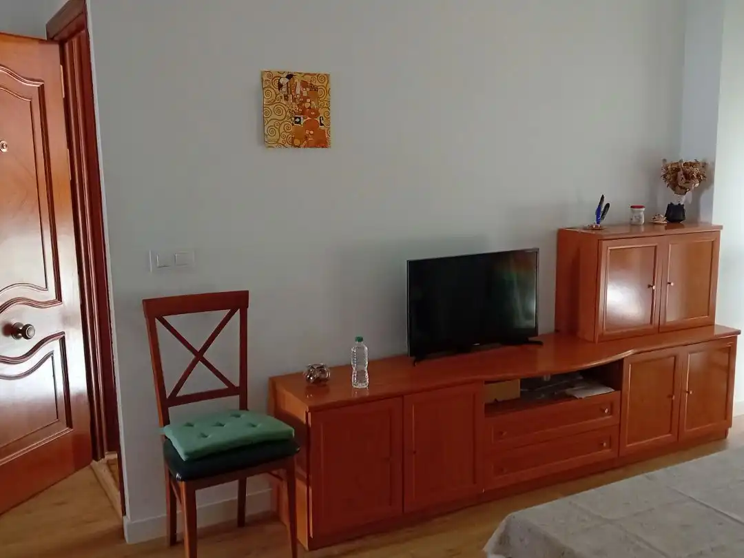 Sala d'estar de Pis de lloguer en Sevilla amb Aire condicionat, Parquet i Moblat