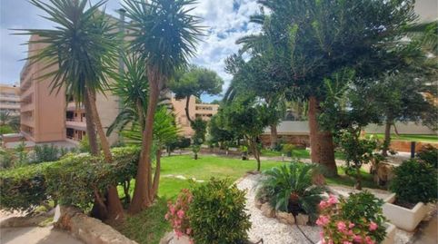 Foto 4 von Wohnung zum Verkauf in Palmanova, Calvià