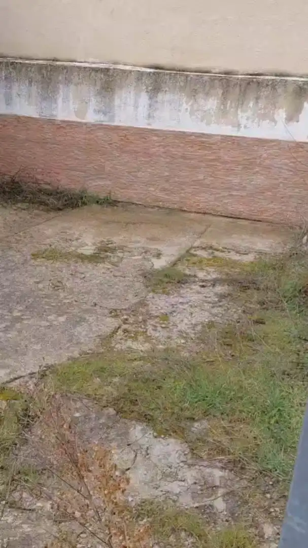 Garden of Houses for sale in Campillo de Altobuey