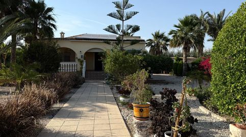 Casa o chalet en venta en Camino de la Torre Los Pavos, 81, Catral, Alicante - imagen 2 Foto 2 de Casa o chalet en venta en Camino de la Torre Los Pavos, 81, Catral, Alicante