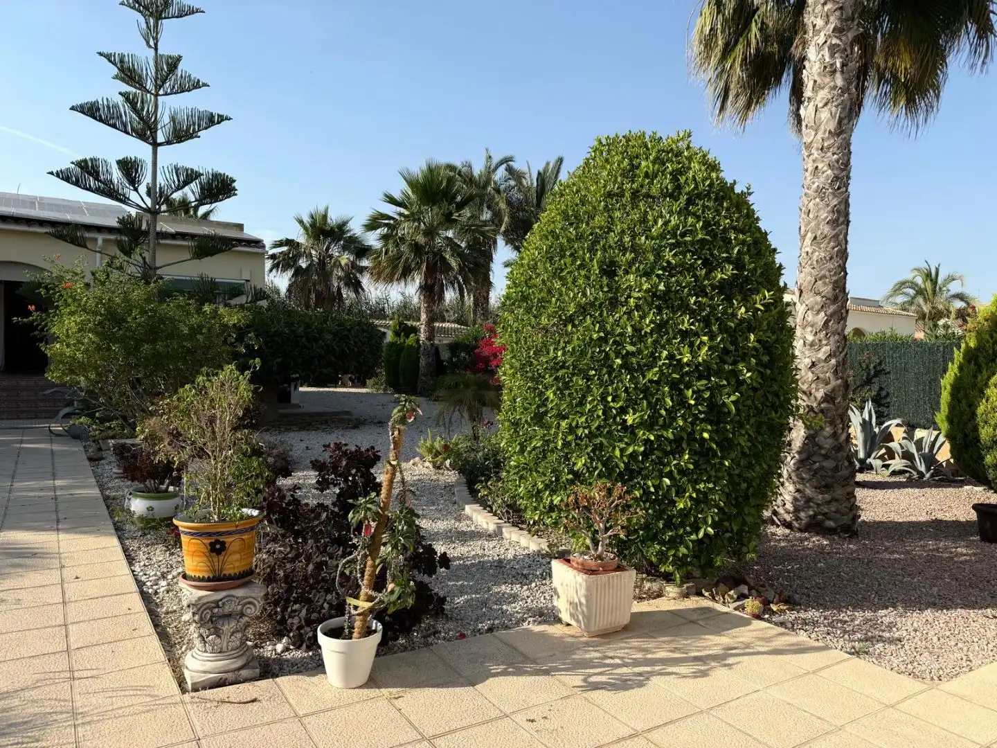 Casa o chalet en venta en Camino de la Torre Los Pavos, 81, Catral Jardín de Casa o chalet en venta en Catral con Aire acondicionado, Terraza y Piscina
