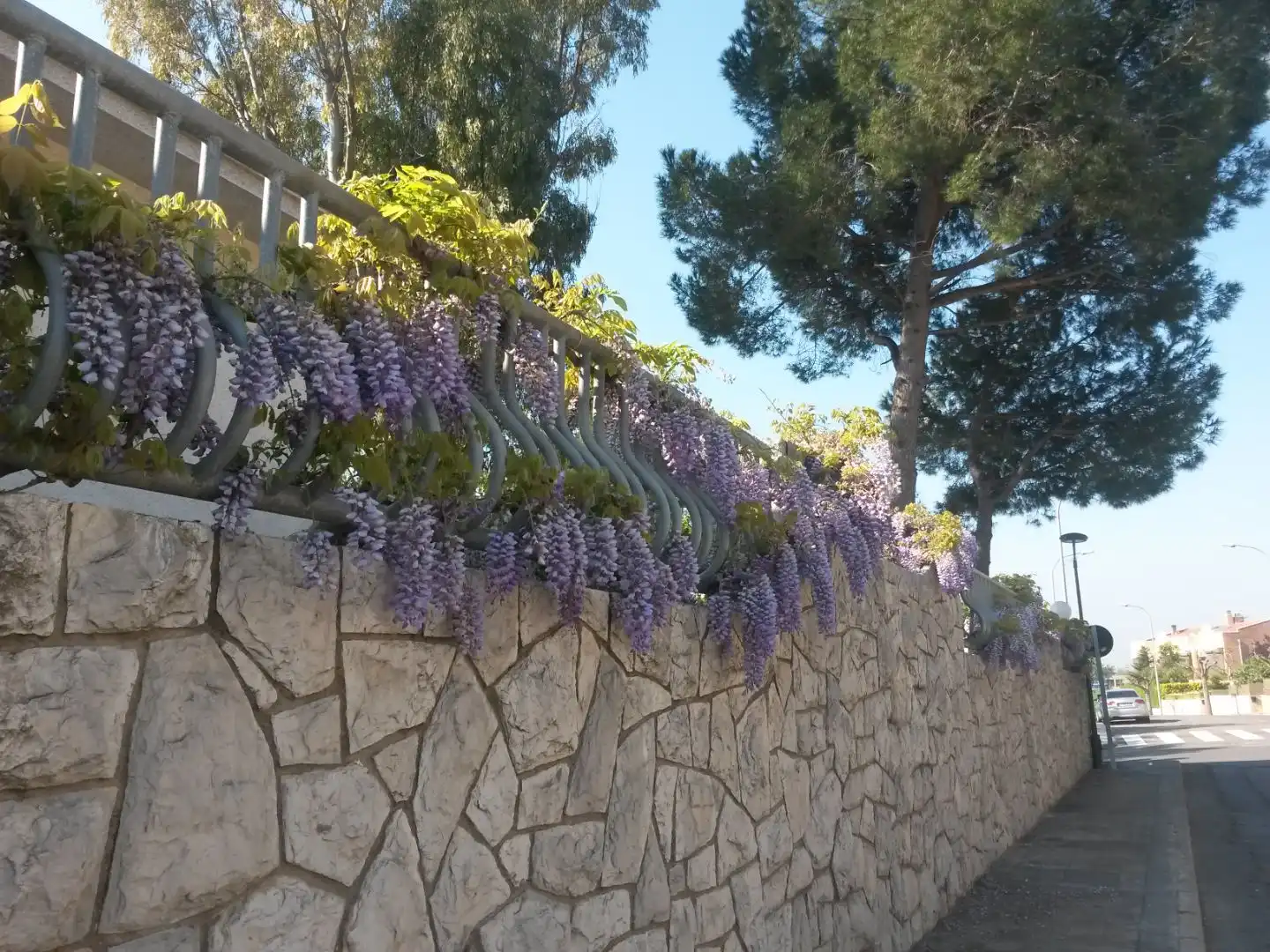Casa o chalet en venta en Carrer Dels Pins, 2, Riudoms Jardín de Casa o chalet en venta en Riudoms con Aire acondicionado y Terraza