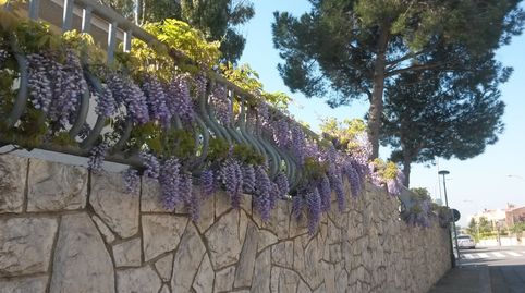 Casa o chalet en venta en Carrer Dels Pins, 2, Riudoms, Tarragona - imagen 2 Foto 2 de Casa o chalet en venta en Carrer Dels Pins, 2, Riudoms, Tarragona