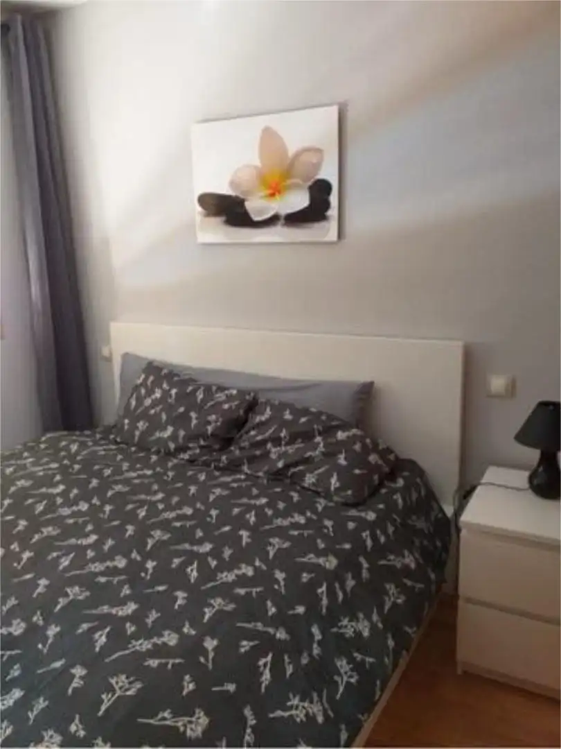 Bedroom of Flat for rent in Madrid  with Heating, Private garden and Storage room