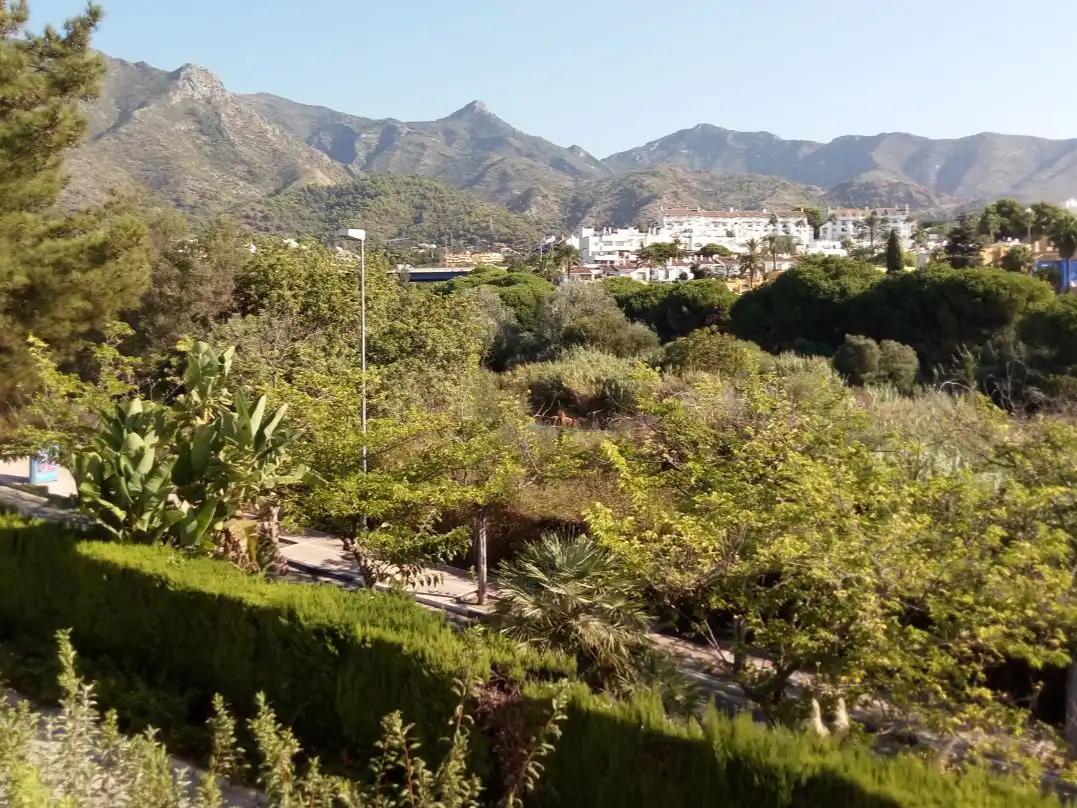 Houses for sale in Avenida Don Jaime de Mora y Aragon, 8, La Carolina - Guadalpín Exterior view of Houses for sale in Marbella with Swimming Pool