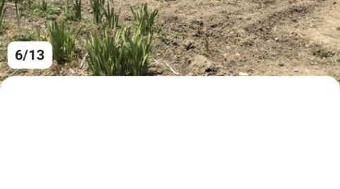Foto 4 de Finca rústica en venta en Calle Real, 10, Aldealices, Soria