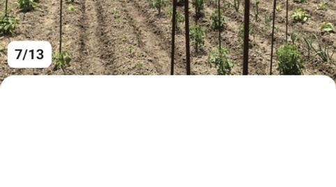 Foto 5 de Finca rústica en venta en Calle Real, 10, Aldealices, Soria