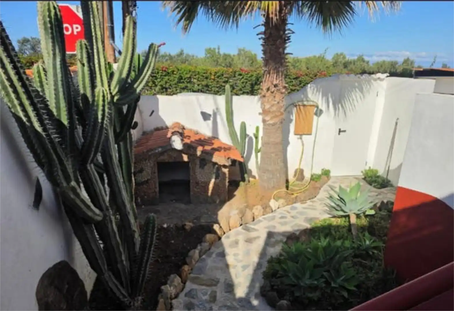 Jardí de Apartament de lloguer en Adeje
