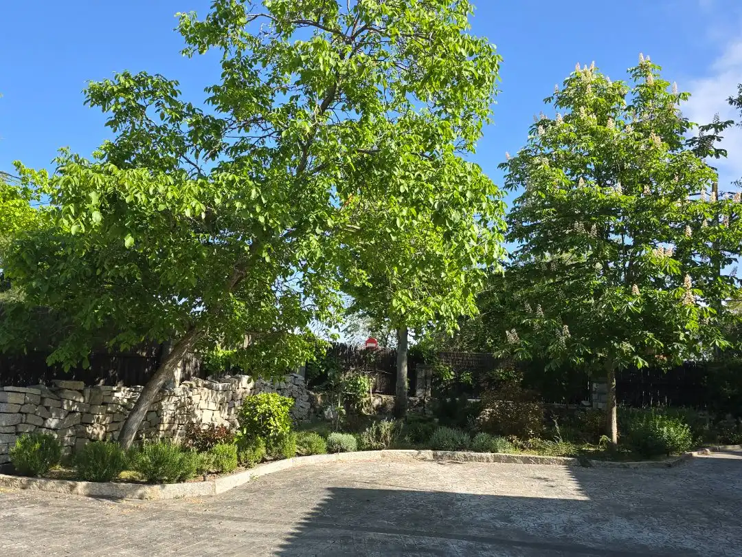 Casa o chalet en venta en San Crispín - La Estación Consorcio Vista exterior de Casa o chalet en venta en Colmenar Viejo con Calefacción, Jardín privado y Terraza