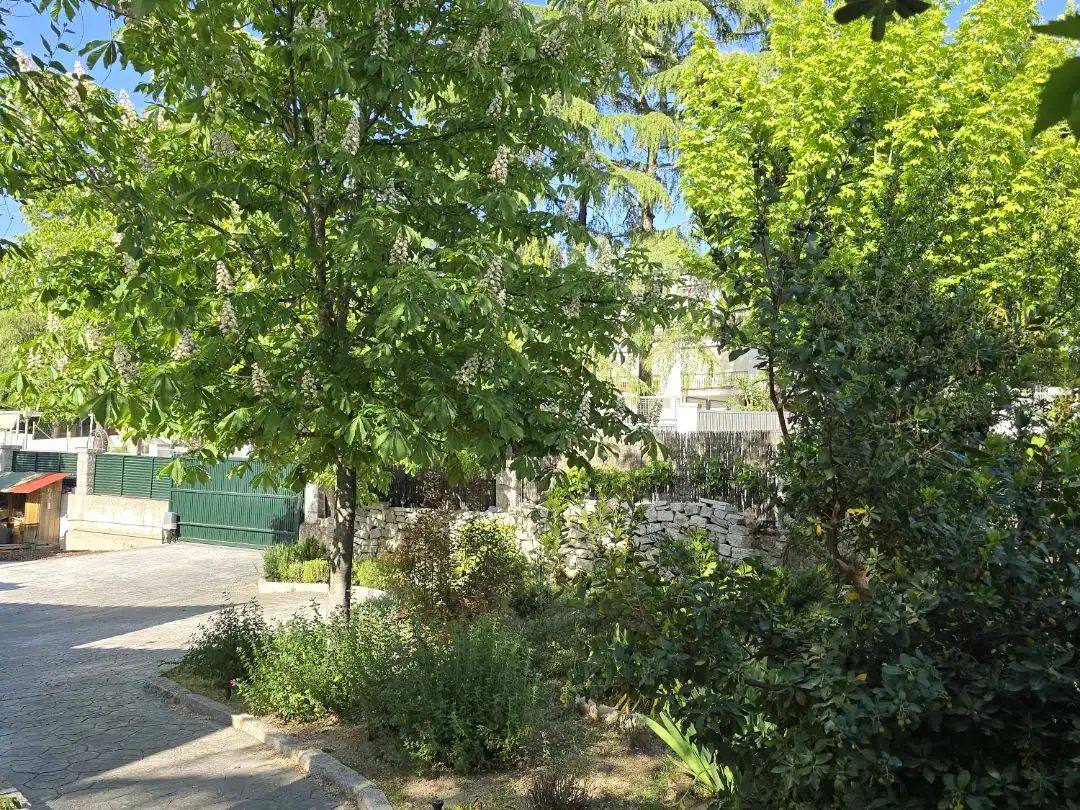 Casa o chalet en venta en San Crispín - La Estación Consorcio Jardín de Casa o chalet en venta en Colmenar Viejo con Calefacción, Jardín privado y Terraza