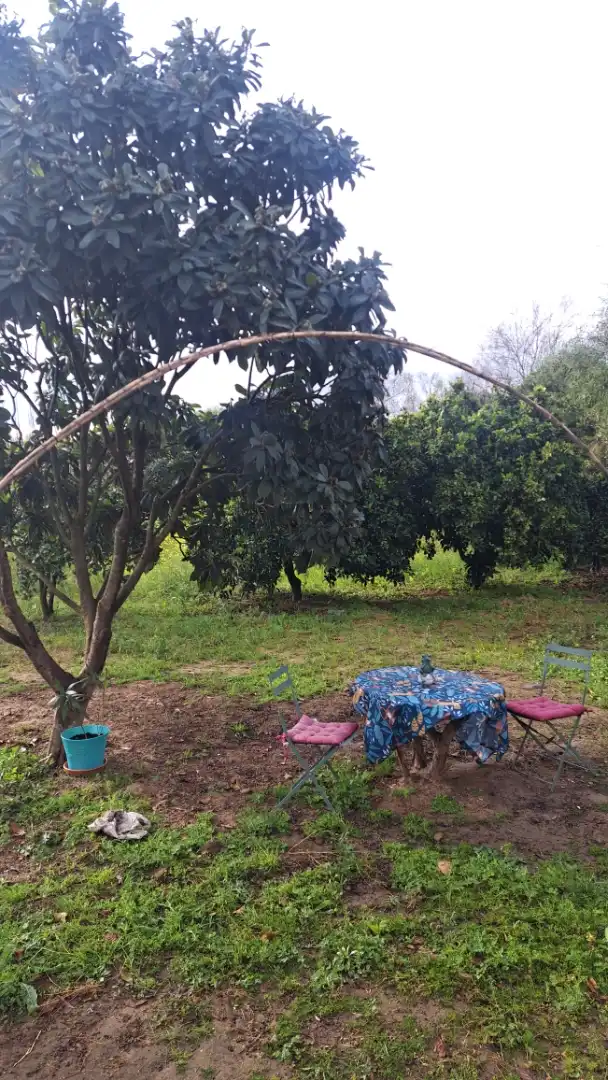 Finca rústica en venta en Sector Pp1 Cruz de Montañina, 3, Bollullos Par del Condado Finca rústica en venta en Bollullos Par del Condado con Piscina