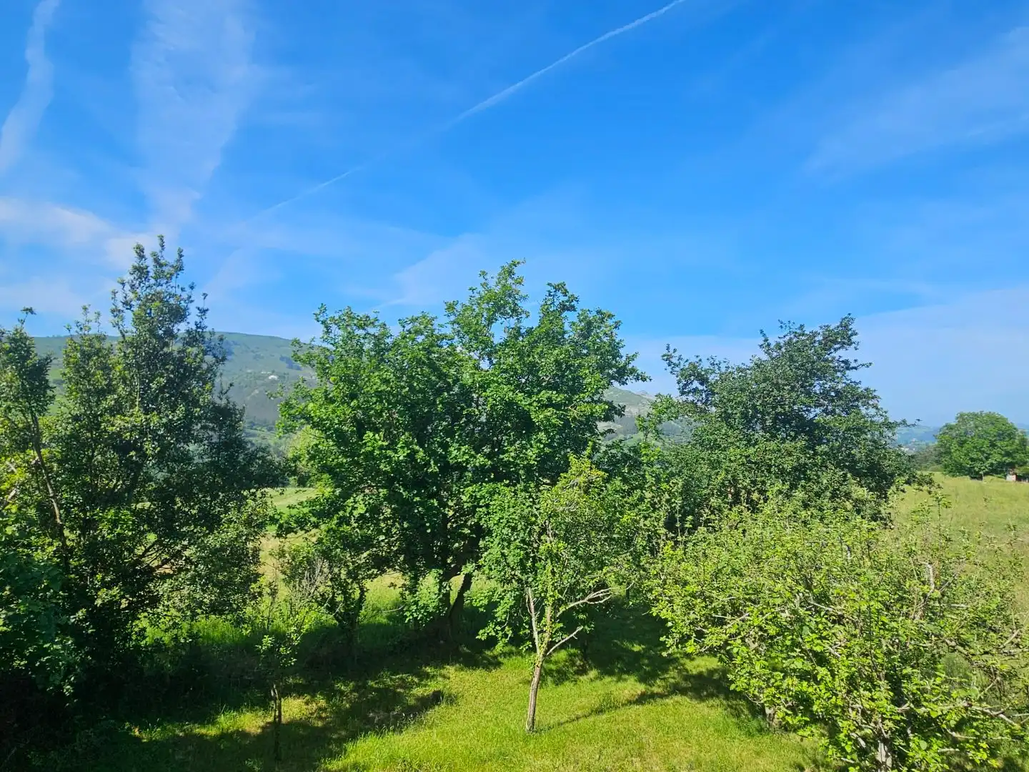 Finca rústica en venta en Riotuerto Finca rústica en venta en Riotuerto con Jardín privado