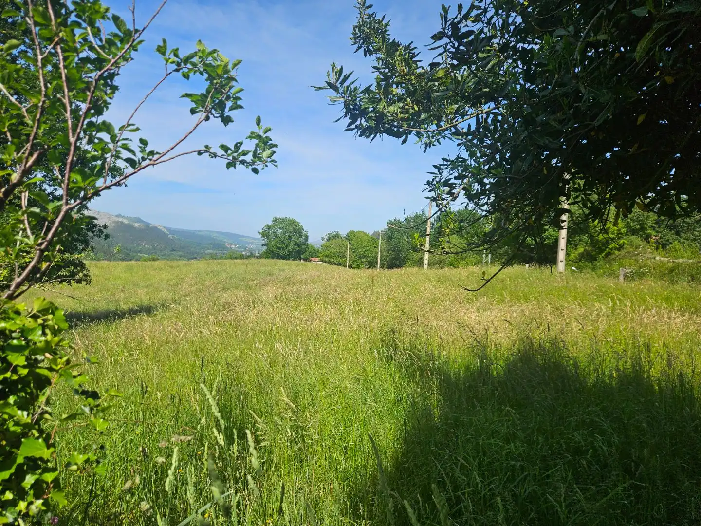 Finca rústica en venta en Riotuerto Finca rústica en venta en Riotuerto con Jardín privado