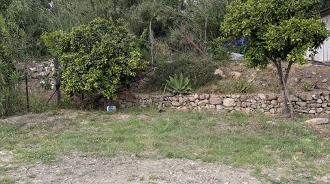 Finca rústica en venda a Calle Sol, 28, Jimena de la Frontera, Cádiz - imatge 4 Foto 4 de Finca rústica en venda a Calle Sol, 28, Jimena de la Frontera, Cádiz