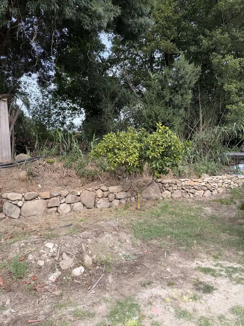 Finca rústica en venda a Calle Sol, 28, Jimena de la Frontera Finca rústica en venda en Jimena de la Frontera amb Piscina