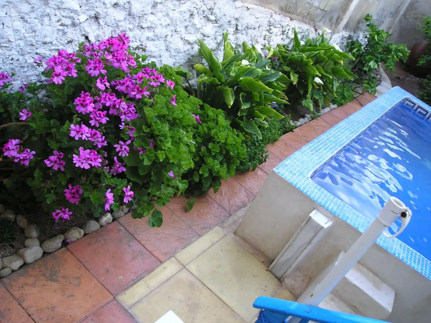 Detached homes for sale in Calle Mayor de Blanca, 20, Blanca Terrace of Detached homes for sale in Blanca with Private garden, Terrace and Swimming Pool