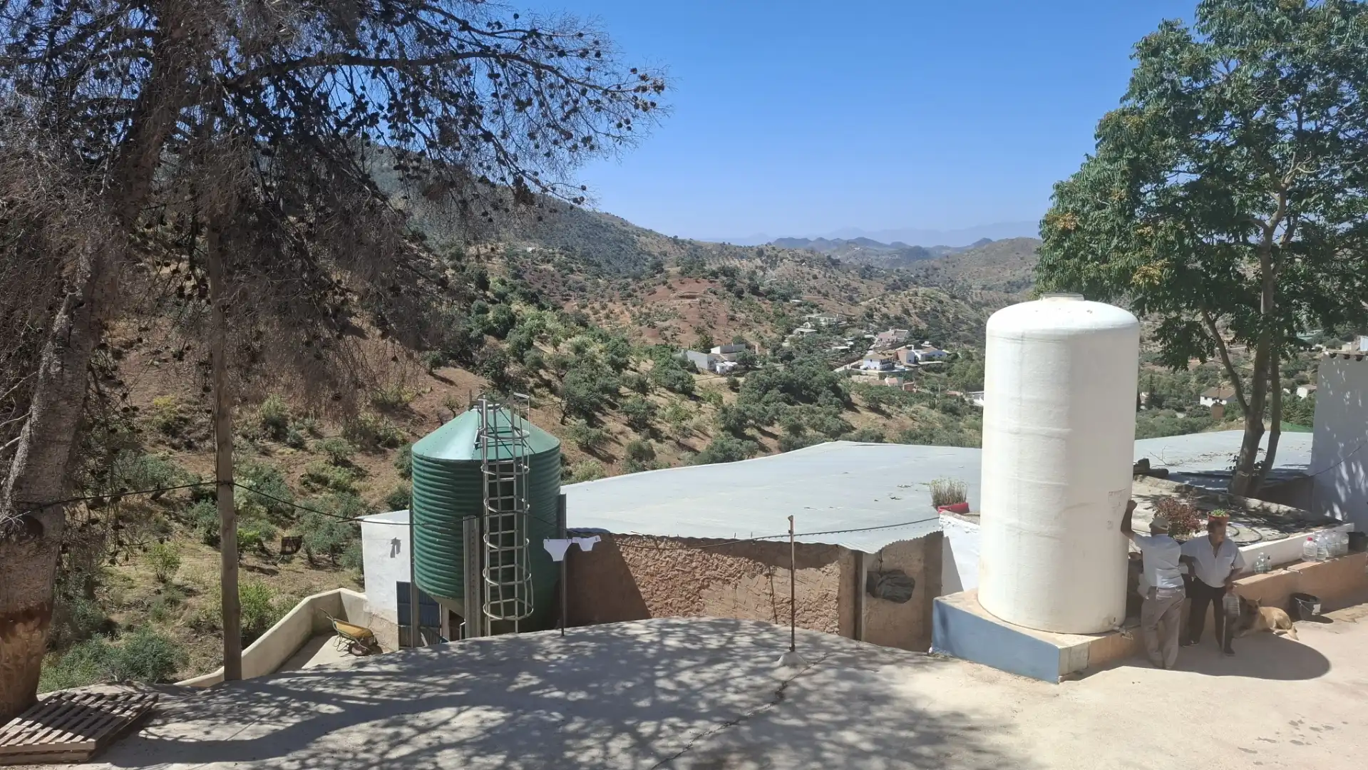 Vista exterior de Finca rústica en venta en Casabermeja
