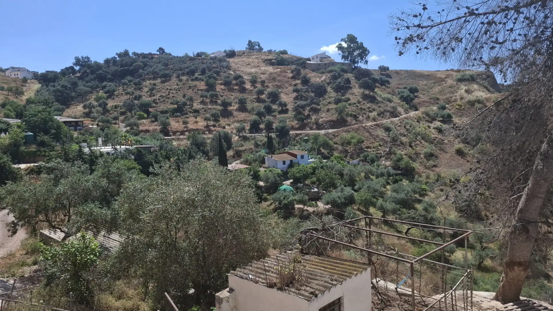 Finca rústica en venta en Casabermeja