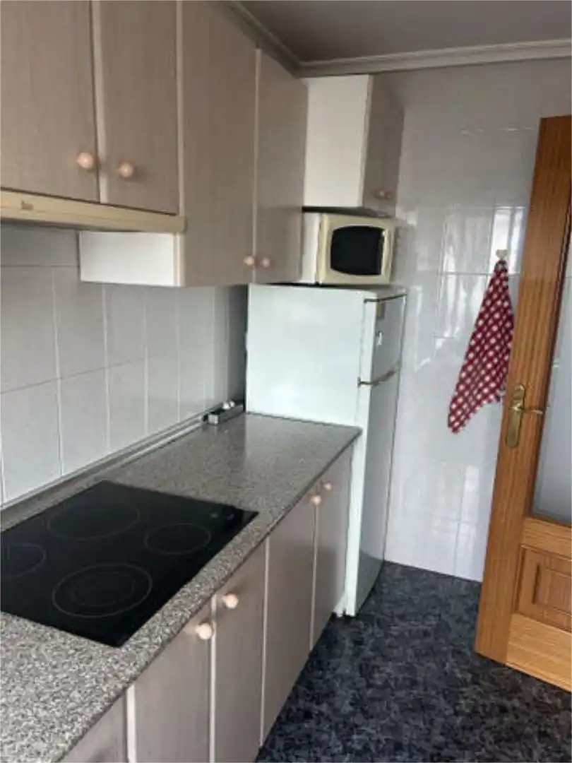 Kitchen of Apartments for rent in Puertollano