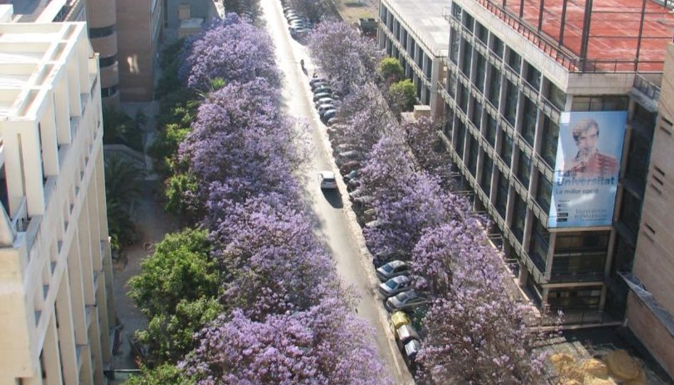 Flat for rent in Carrer de Gascó Oliag, 6, Ciutat Universitària, Valencia Capital - image 1 Photo 1 of Flat for rent in Carrer de Gascó Oliag, 6, Ciutat Universitària, Valencia Capital