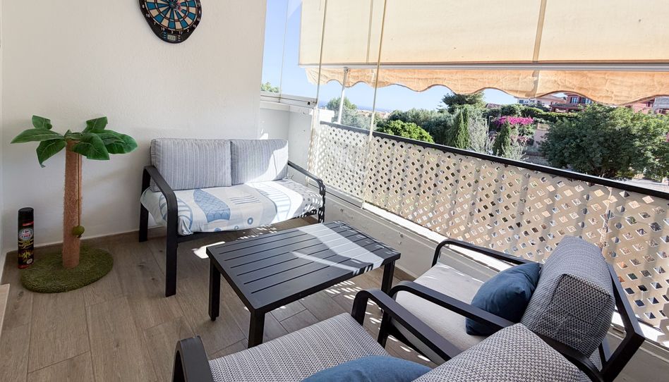 Wohnung zum Verkauf in Calle la Pimienta, 4, Valdeolletas - Las Cancelas - Xarblanca, Marbella - Bild 1 Foto 1 von Wohnung zum Verkauf in Calle la Pimienta, 4, Valdeolletas - Las Cancelas - Xarblanca, Marbella