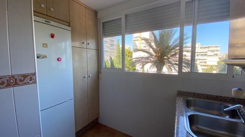 Foto 5 de Apartamento de alquiler en Avenida Jaime I el Conquistador, 24, Playa Muchavista, El Campello
