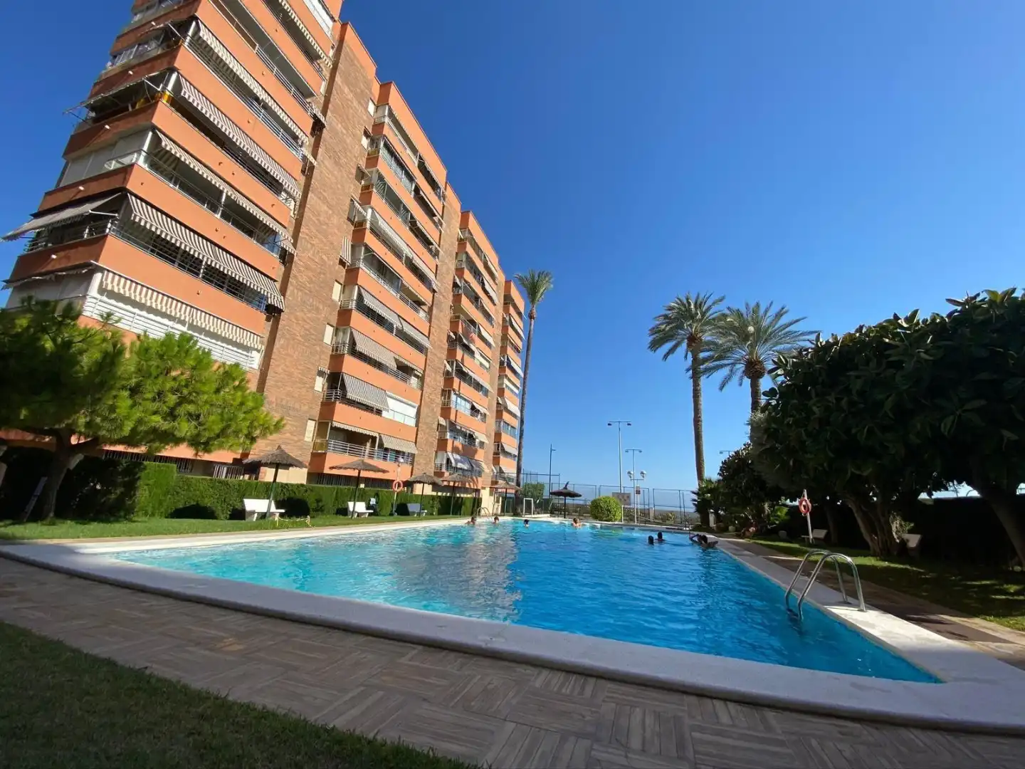 Apartments for rent in Avenida Jaime I el Conquistador, 24, Playa Muchavista Swimming pool of Apartments for rent in El Campello with Heating, Private garden and Terrace