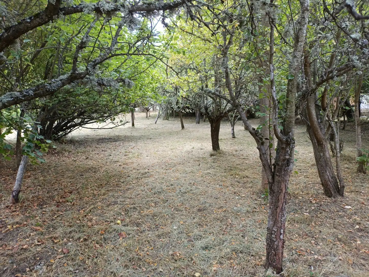 Finca rústica en venta en Calle Rio Curueño, 12, Santa Colomba de Curueño Finca rústica en venta en Santa Colomba de Curueño con Jardín privado y Amueblado