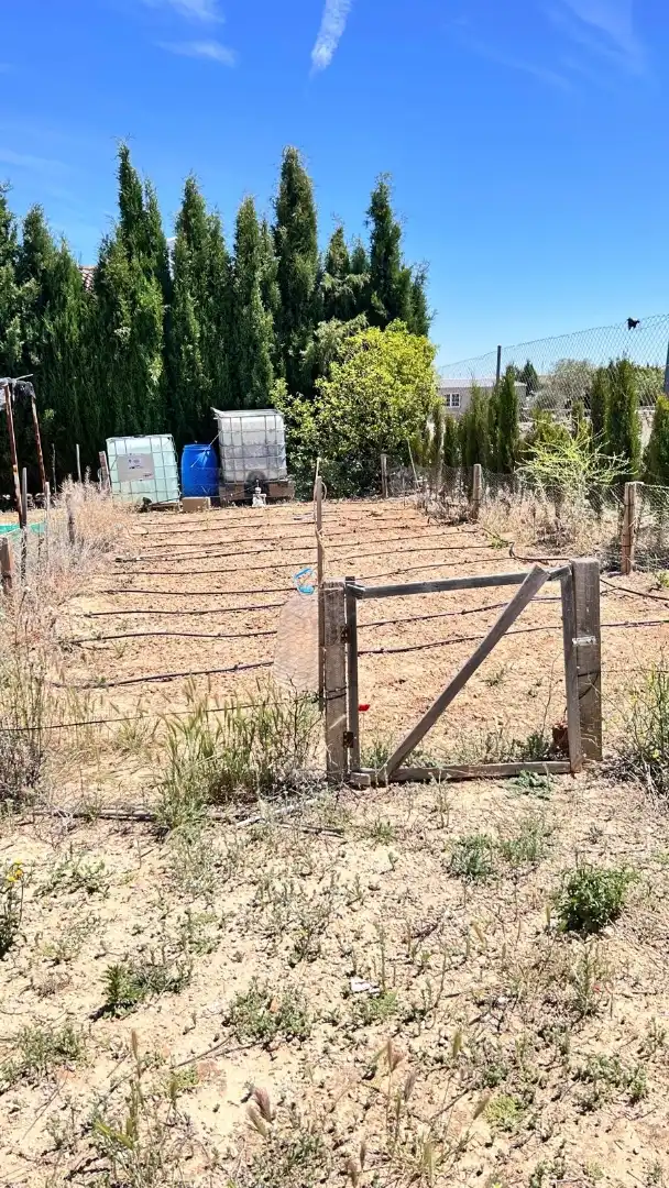 Finca rústica en venta en Calle Balmes, 4, Pozo Cañada Finca rústica en venta en Pozo Cañada con Jardín privado, Terraza y Trastero