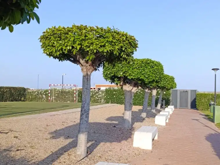 Piso en venta en Calle Delfin, 1, El Playazo Jardín de Piso en venta en Vera con Aire acondicionado, Terraza y Piscina
