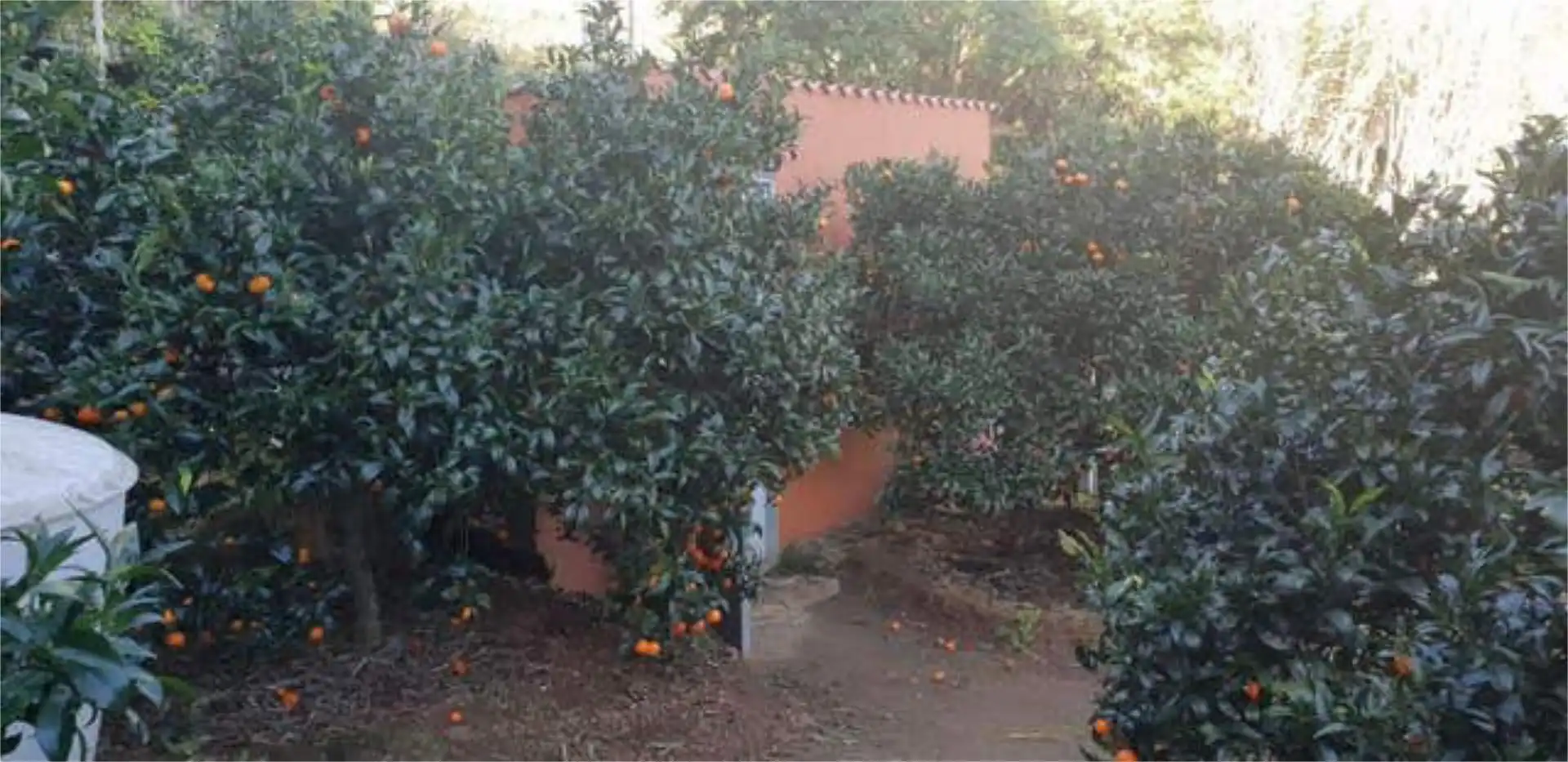 Jardín de Casa adosada en venta en Santa Brígida con Terraza
