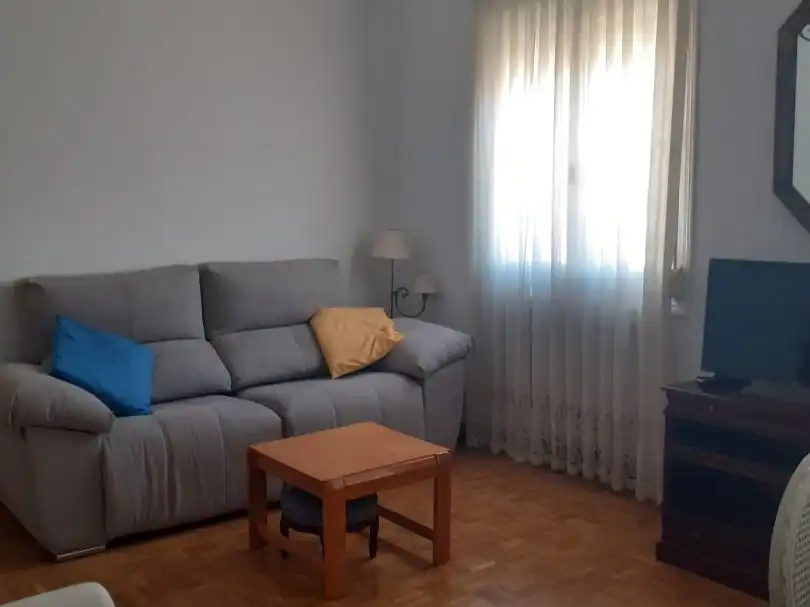 Room in Calle del Doctor Esquerdo, 43, Fuente del Berro Living room of Flat for share in Madrid with Heating, Parquet flooring and Furnished