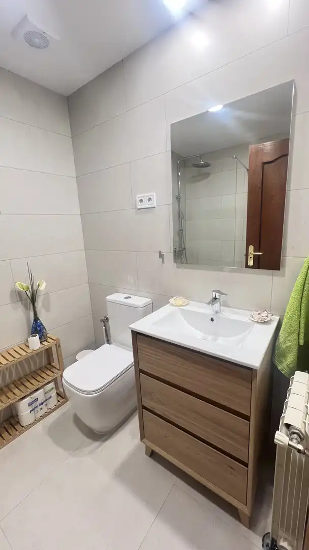 Bathroom of Flat for rent in Madrid  with Air Conditioner, Heating and Parquet flooring