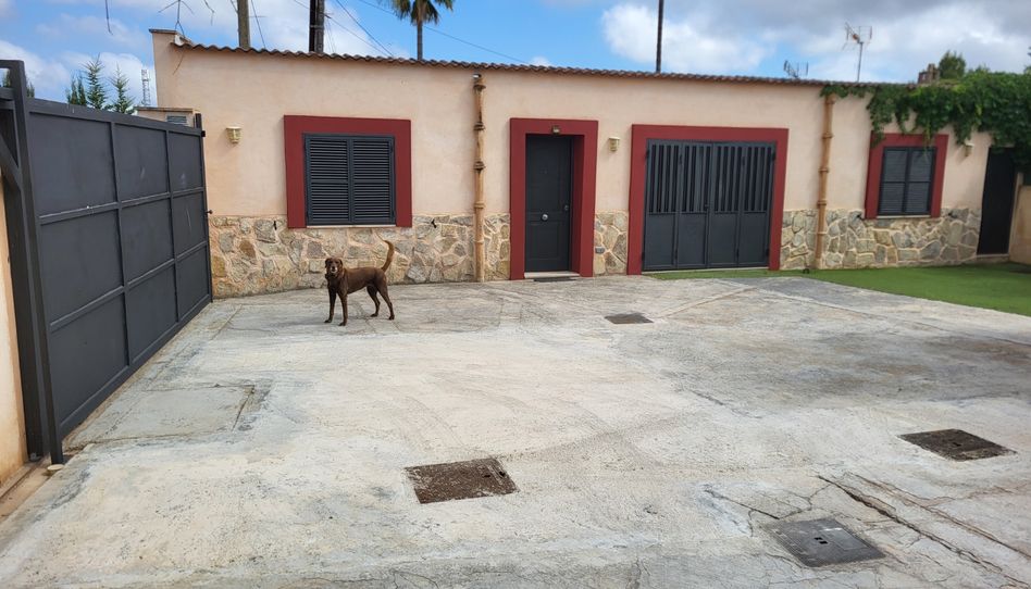 Finca rústica de lloguer a Avinguda de Picasso, 42a, Son Espanyolet, Palma de Mallorca - imatge 1 Foto 1 de Finca rústica de lloguer a Avinguda de Picasso, 42a, Son Espanyolet, Palma de Mallorca