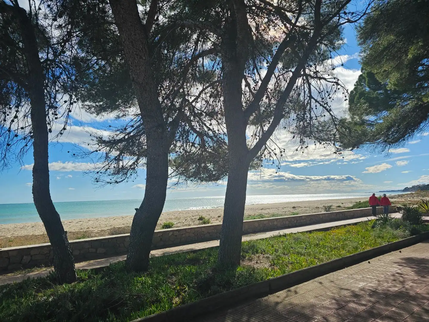 Piso en venta en Carrer del Blat, 21, Platja de Mont-roig Vista exterior de Piso en venta en Mont-roig del Camp con Aire acondicionado, Terraza y Piscina