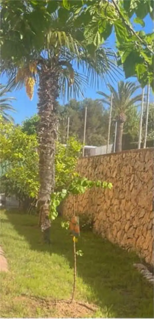 Vista exterior de Casa adosada en venta en Carlet con Jardín privado, Terraza y Amueblado