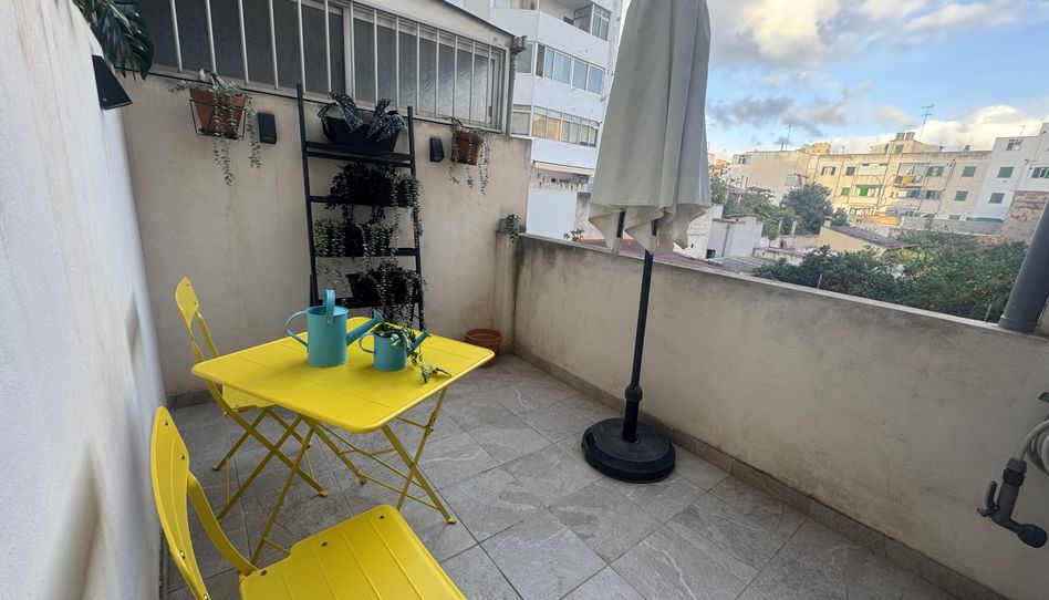 Piso de alquiler en Carrer del General Riera, 60, Es Camp Redó, Palma de Mallorca - imagen 1 Foto 1 de Piso de alquiler en Carrer del General Riera, 60, Es Camp Redó, Palma de Mallorca