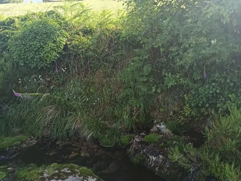 Casa o chalet de alquiler en Malpica de Bergantiños