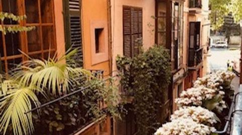 Piso de alquiler en Carrer de Vallseca, 7a, La Llotja - Born, Palma de Mallorca - imagen 4 Foto 4 de Piso de alquiler en Carrer de Vallseca, 7a, La Llotja - Born, Palma de Mallorca